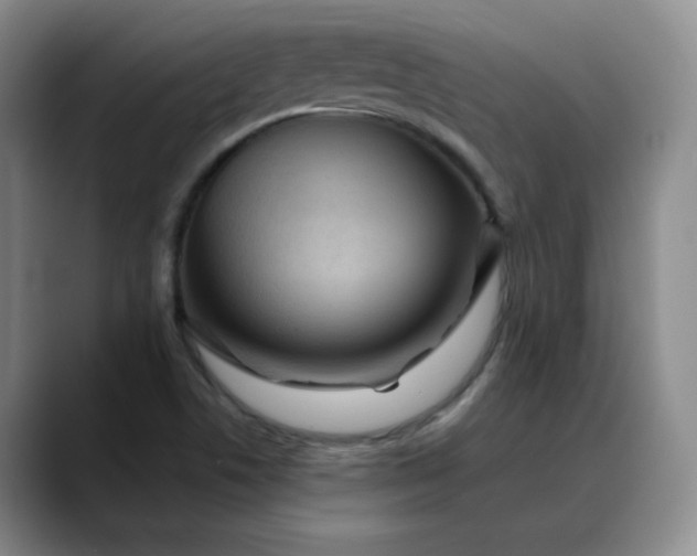 X0000088691506200706141403