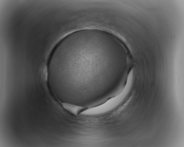 X0000088691509200706141403