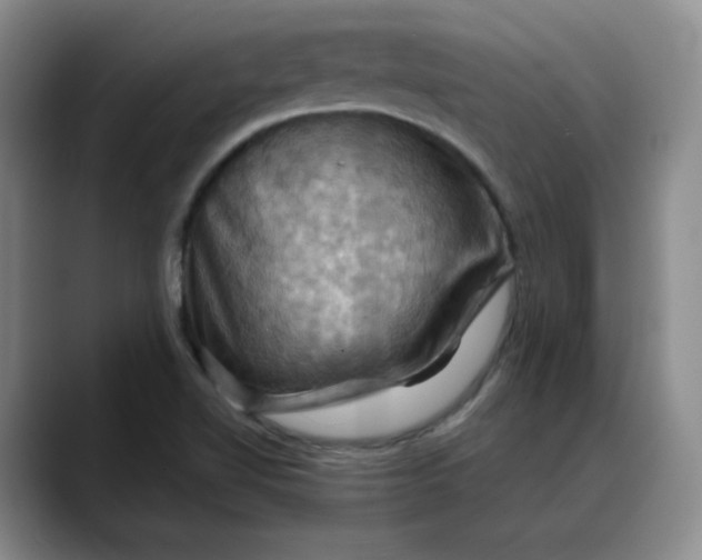 X0000088691510200706141403