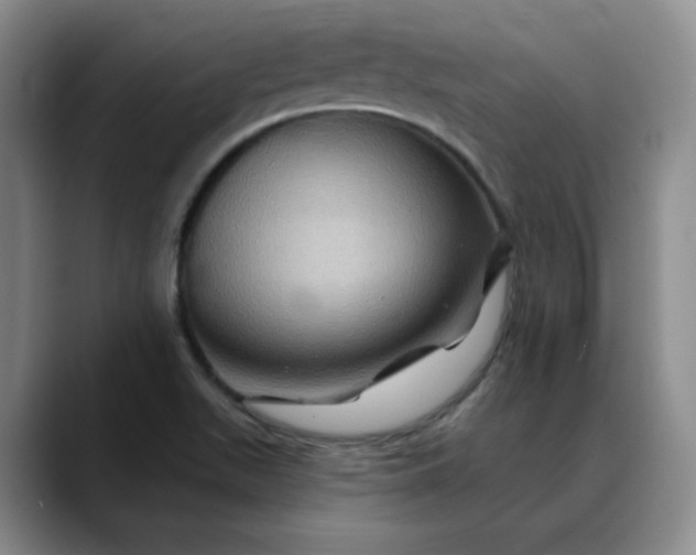 X0000088691511200706141403