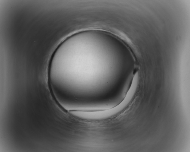 X0000088691512200706141403
