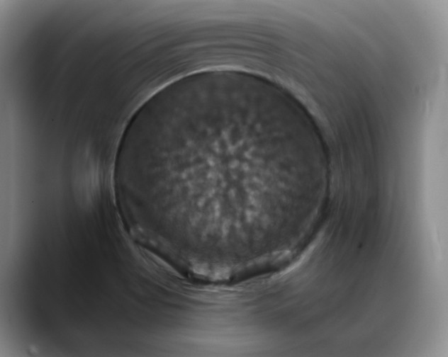 X0000088691513200706141403