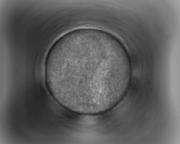 X0000088691514200706141403