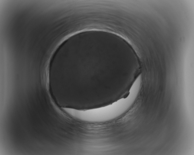 X0000088691515200706141403