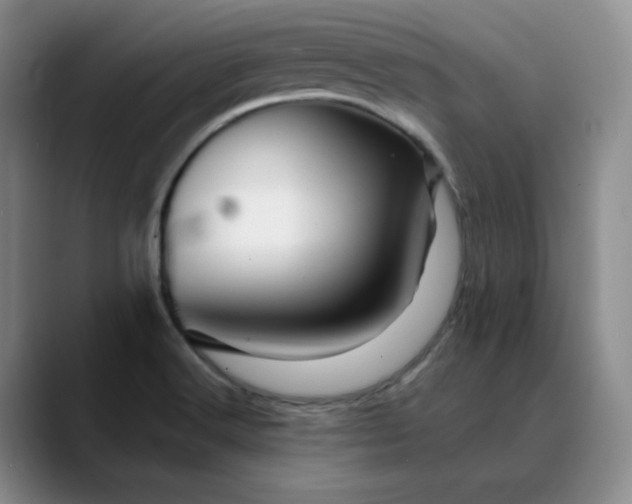 X0000088691516200706141403