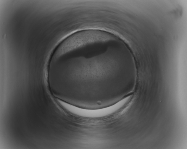 X0000088691517200706141403