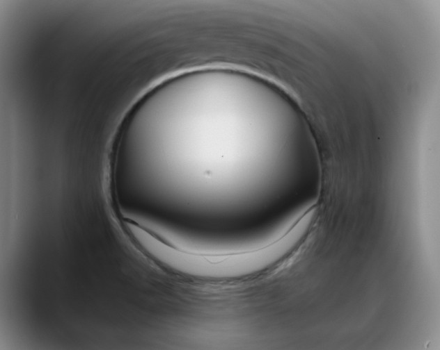 X0000088691518200706141403