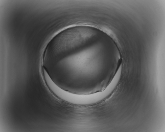 X0000088691520200706141403