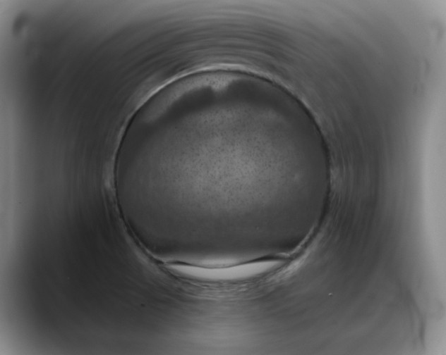 X0000088691521200706141403
