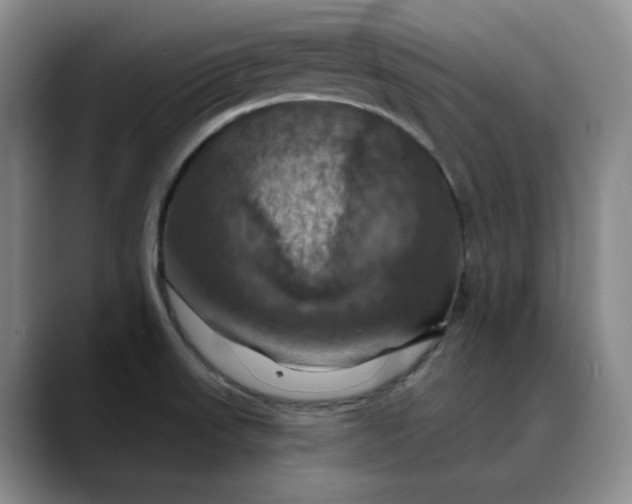X0000088691523200706141403