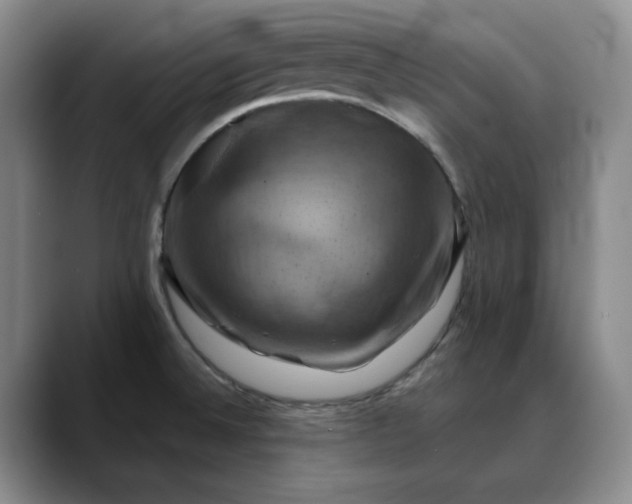 X0000088691524200706141403