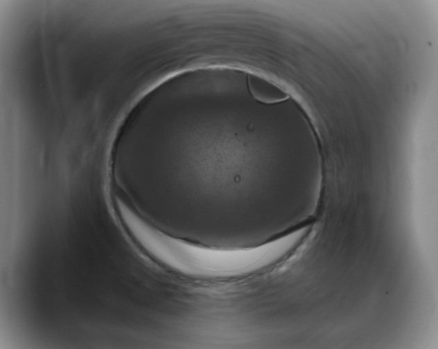 X0000088691525200706141403