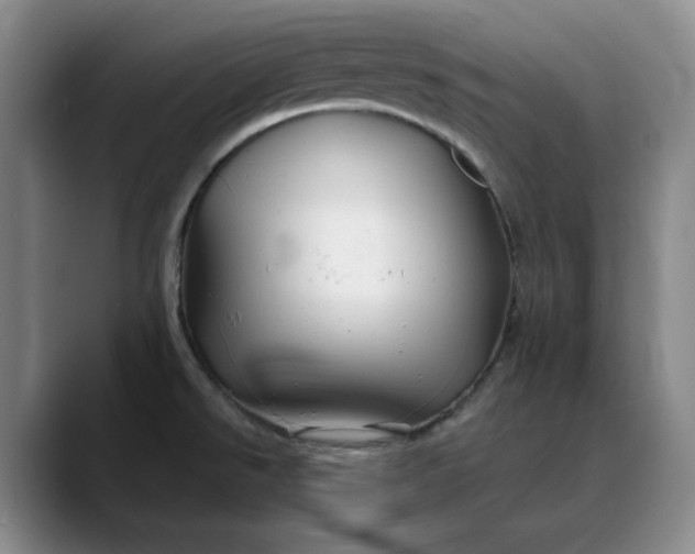 X0000088691526200706141403