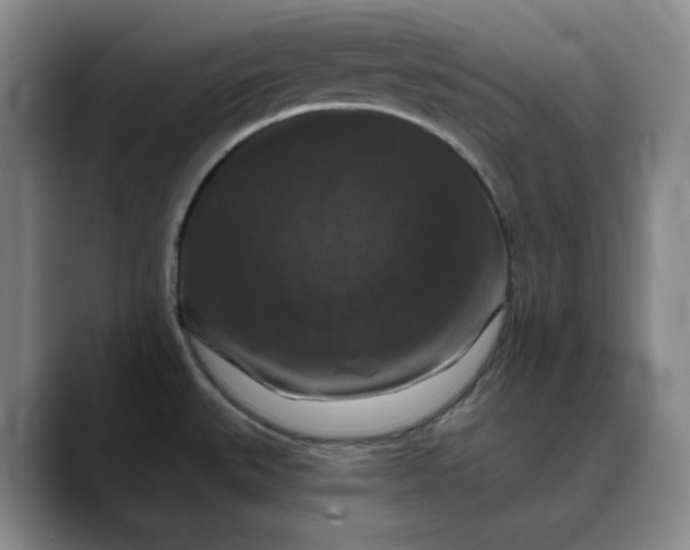 X0000088691527200706141403