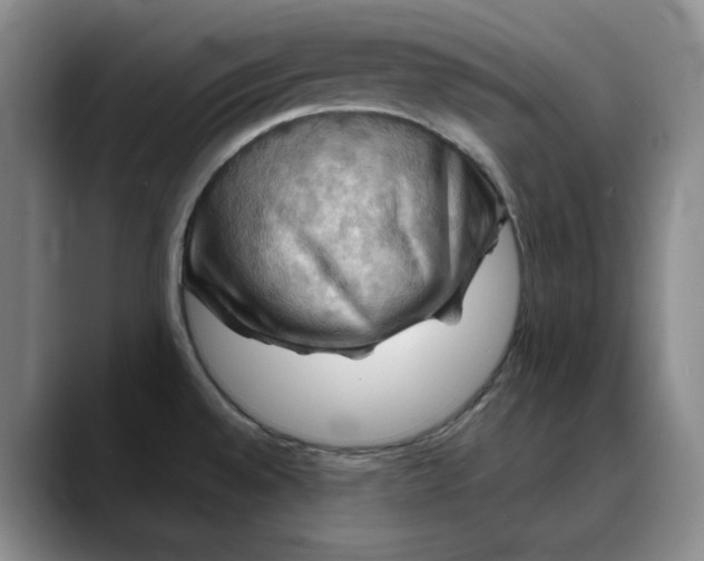 X0000088691528200706141403