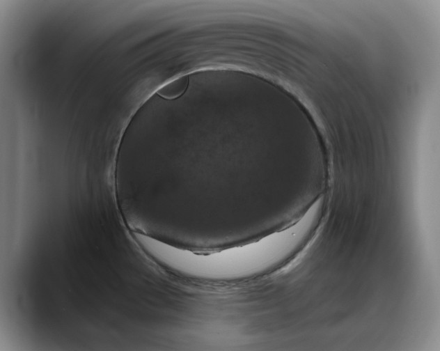 X0000088691529200706141403