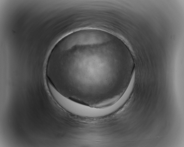 X0000088691530200706141403