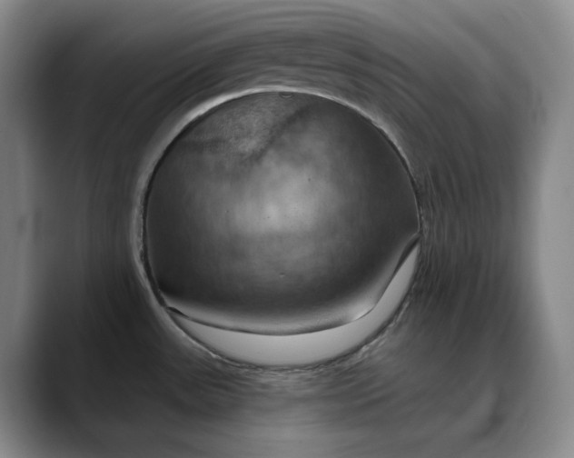 X0000088691531200706141403