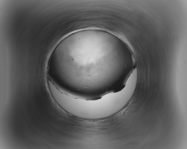 X0000088691532200706141403