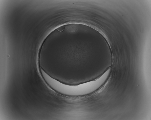 X0000088691533200706141403