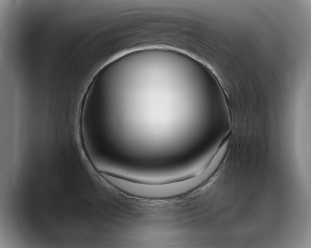 X0000088691534200706141403