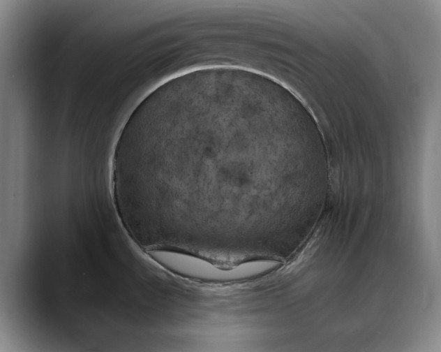 X0000088691535200706141403