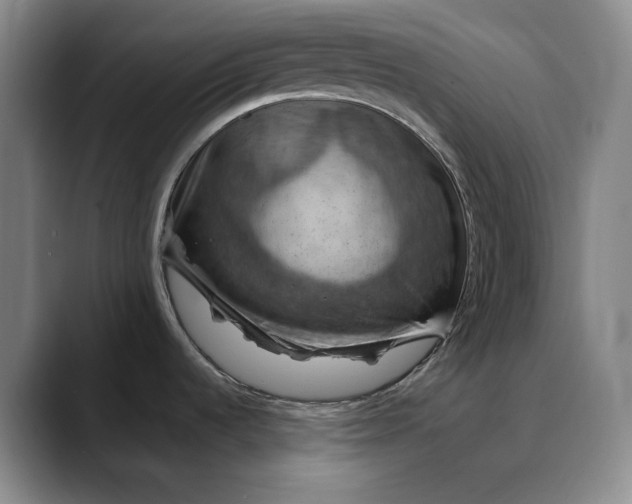 X0000088691536200706141403