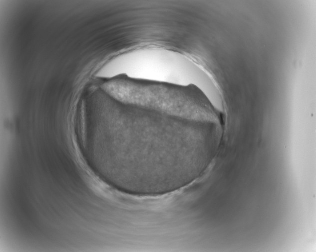 X0000088690001200706211935