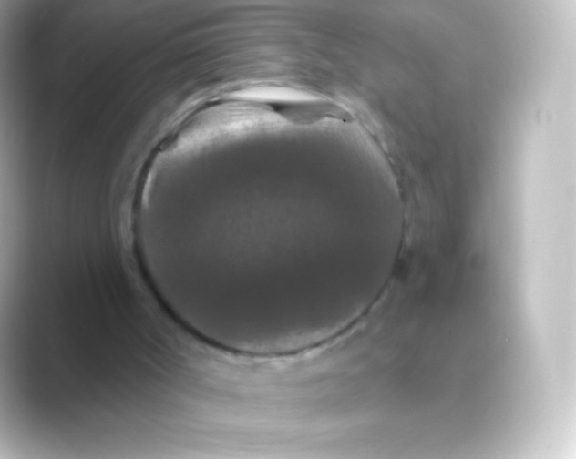X0000088690002200706211935