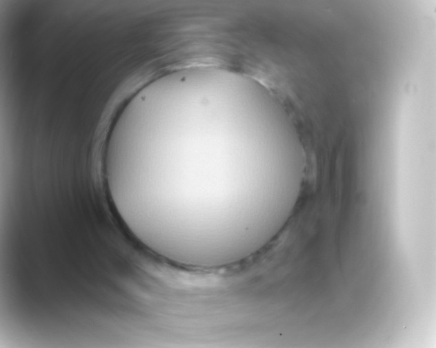 X0000088690004200706211935