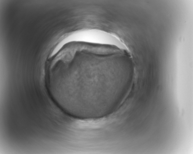 X0000088690005200706211935