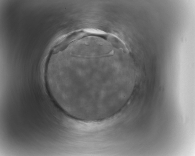 X0000088690006200706211935