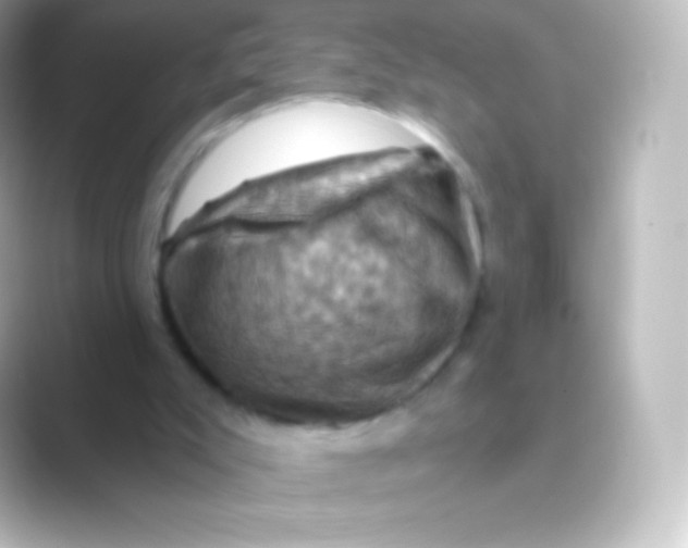 X0000088690007200706211935