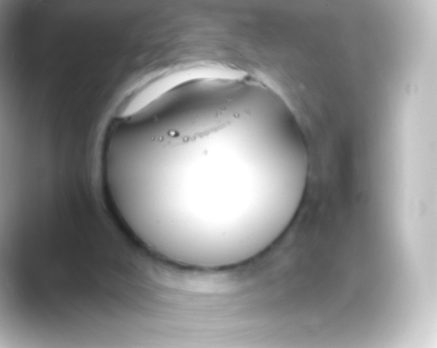 X0000088690008200706211935