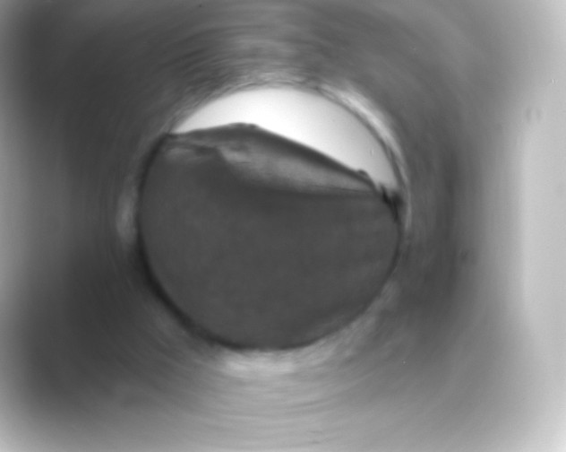 X0000088690009200706211935