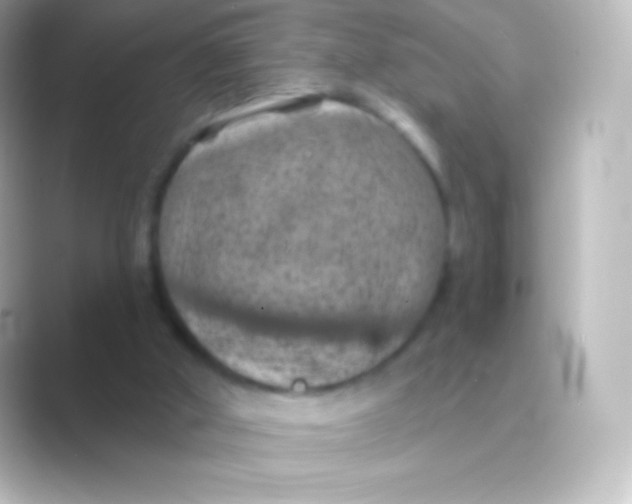 X0000088690010200706211935