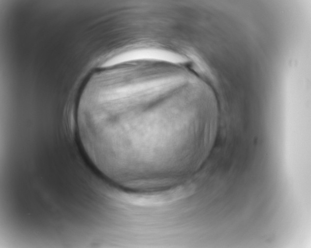 X0000088690011200706211935