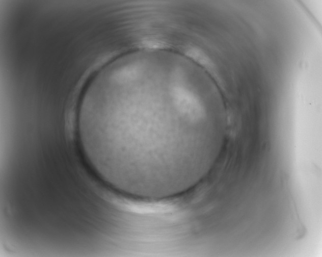 X0000088690012200706211935