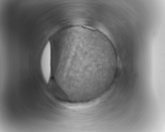 X0000088690013200706211935
