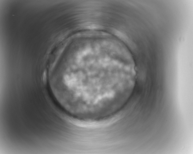 X0000088690014200706211935