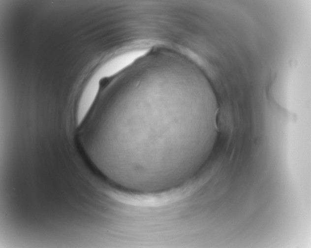 X0000088690015200706211935