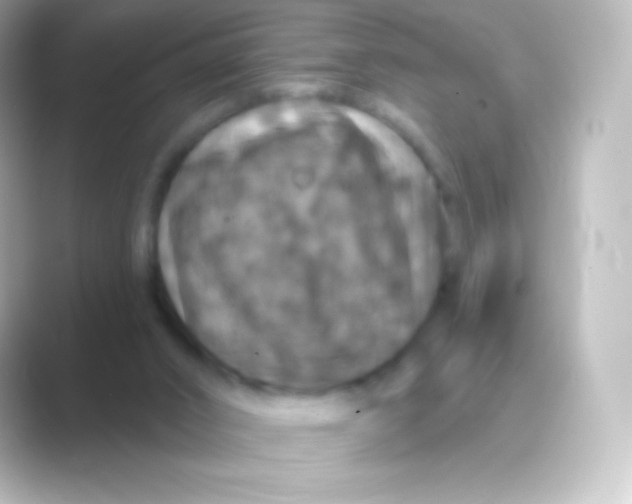 X0000088690016200706211935