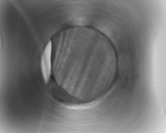 X0000088690017200706211935