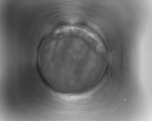 X0000088690018200706211935