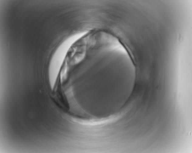 X0000088690019200706211935