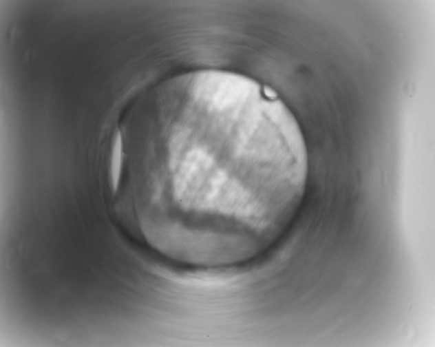 X0000088690020200706211935
