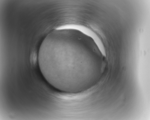 X0000088690021200706211935