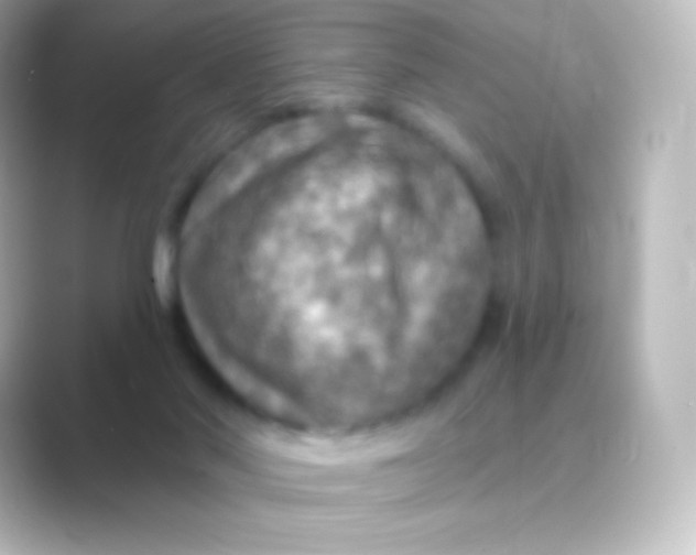 X0000088690022200706211935