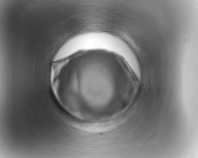 X0000088690023200706211935
