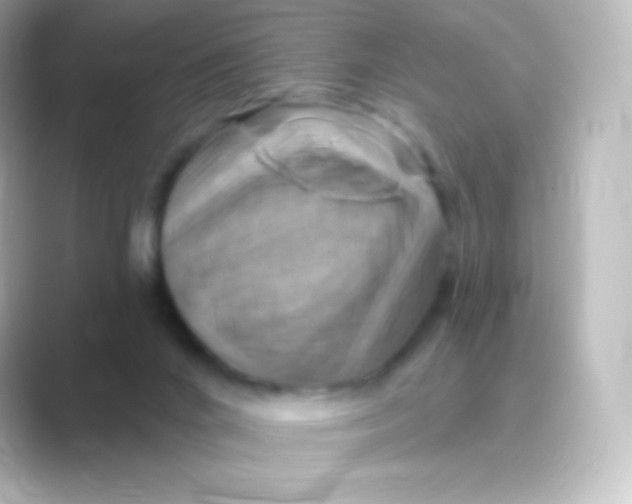 X0000088690024200706211935